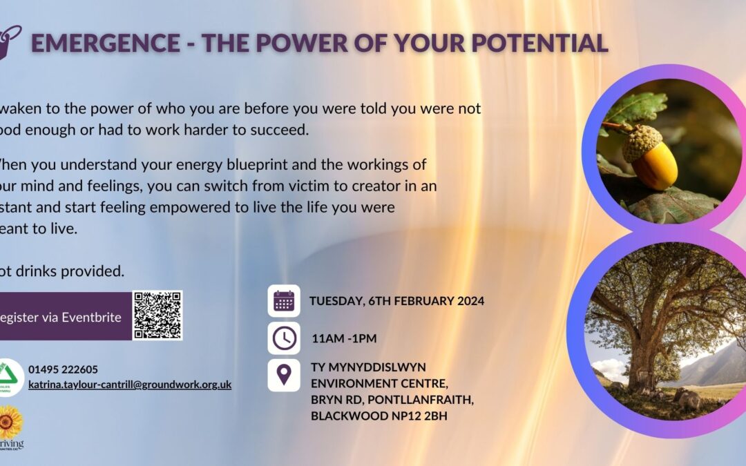 Emergence – The Power of Your Potential