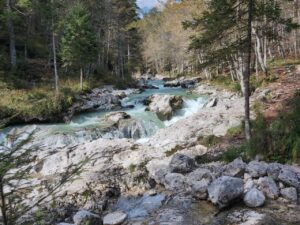 Running river Slovenia